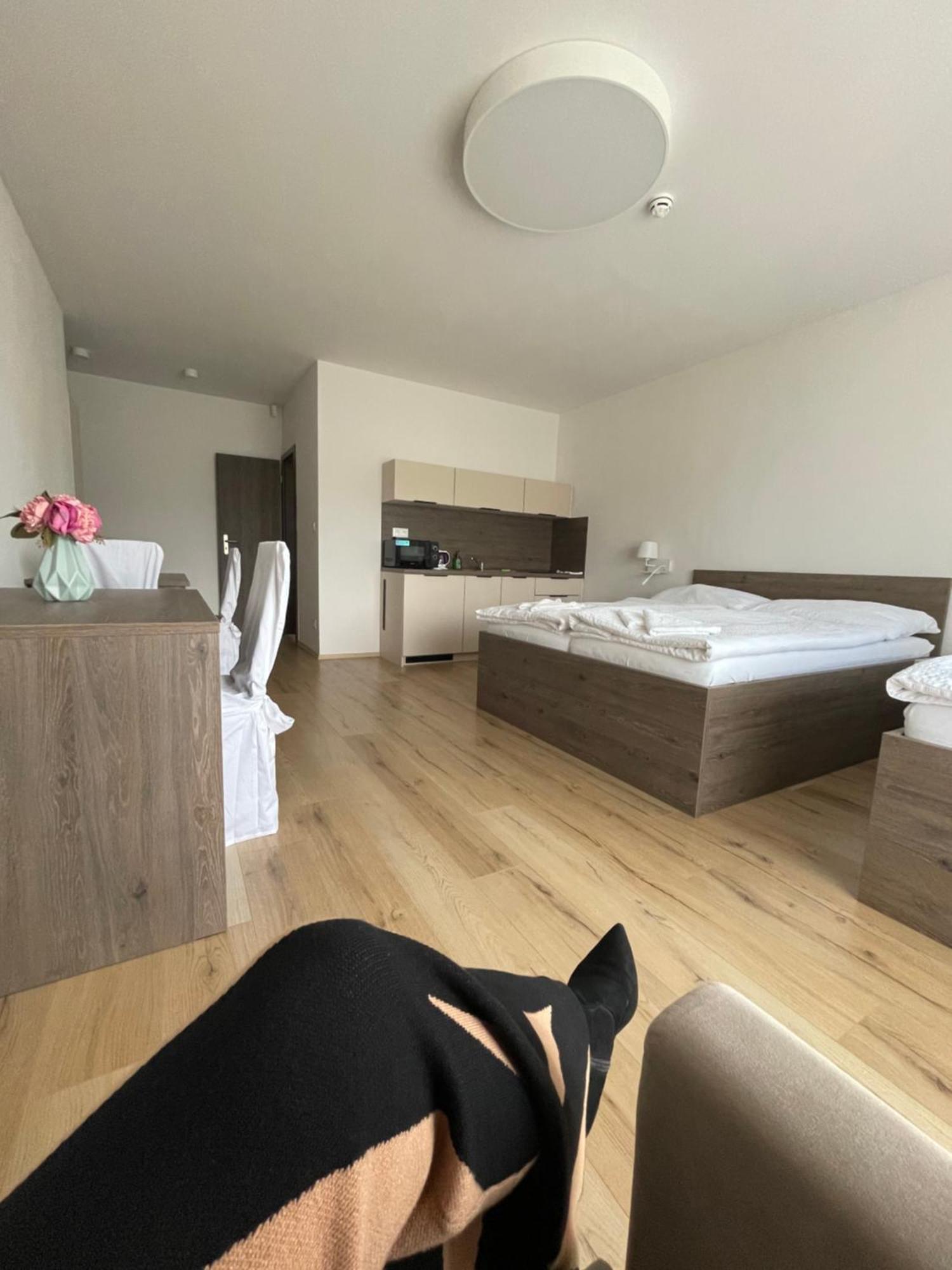 Zafir Hotel Dunajska Streda Bagian luar foto